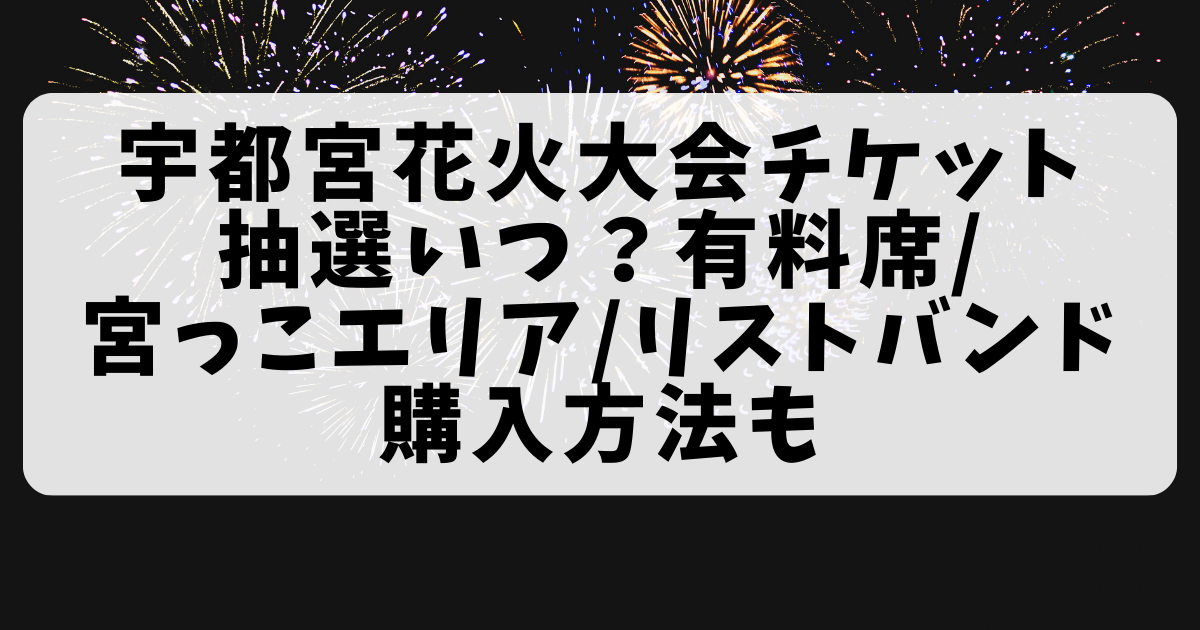 宇都宮花火大会 チケット - イベント